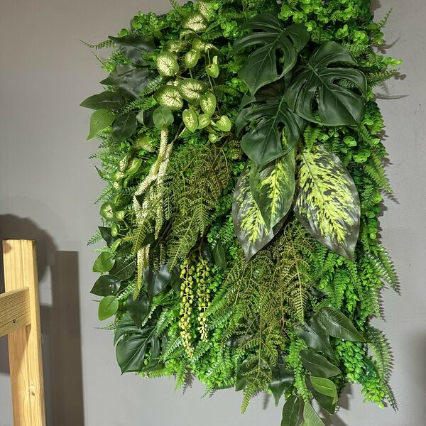 Фитостена Премиум