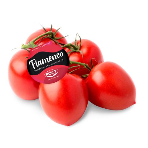 

Томаты Flamenco сливовидные вес