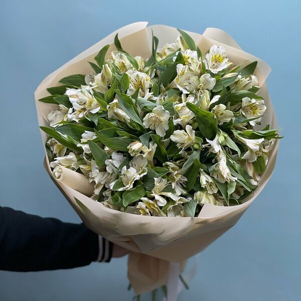 Альстромерия 19 штук