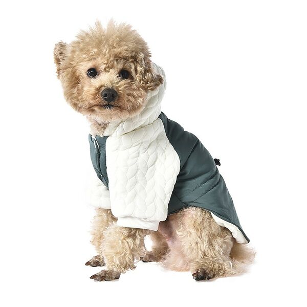 Куртка для собак FOXIE Matcha tea L (длина спины 40см, обхват груди 62-68см) разноцветная