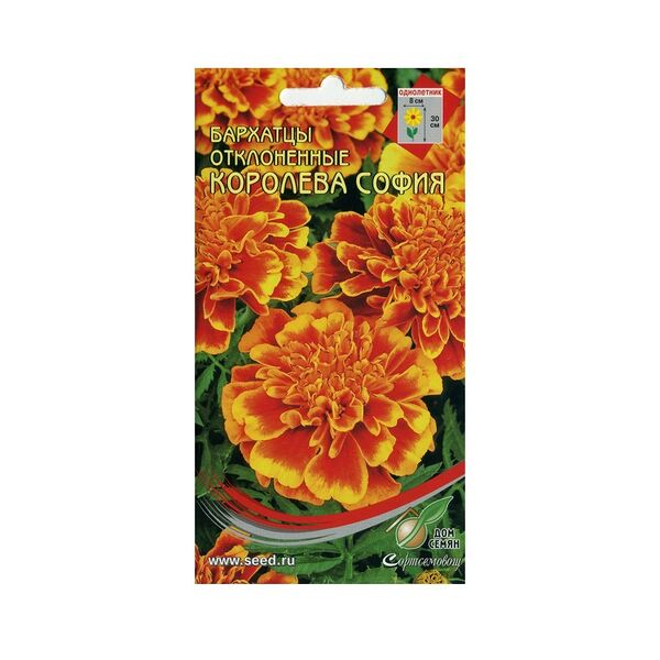 Семена Бархатцы Тагетес отклонённый Королева София