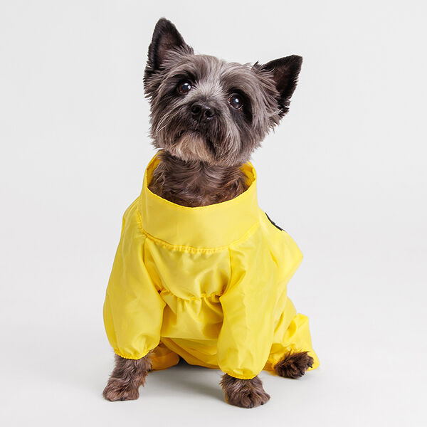 Дождевик для собак L желтый (девочка)