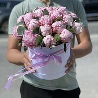 Изображение 2