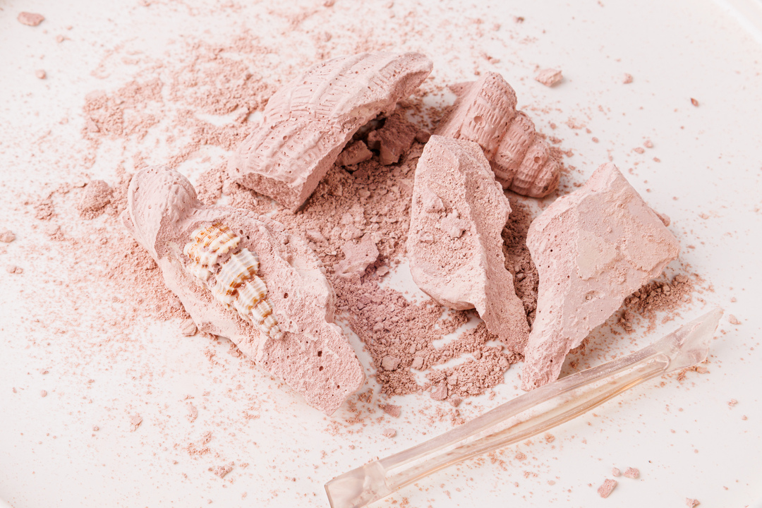 

Набор для раскопок "Ракушка"_РП