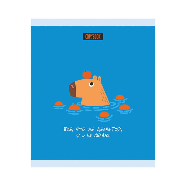Тетрадь   48л клетка Капибара Все что арт 48.90