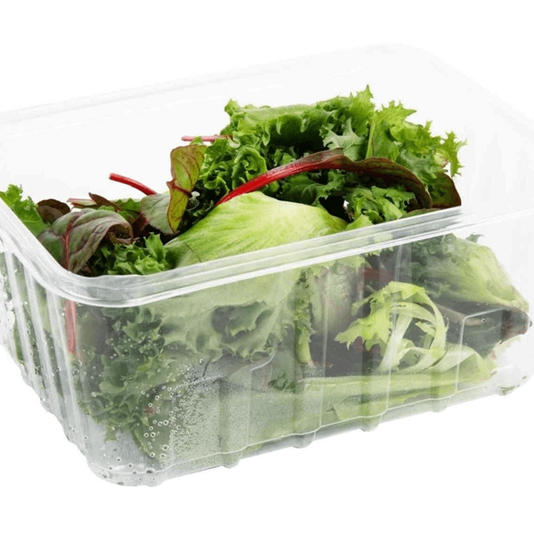 Салатная смесь iFarm Премиум айсберг-фриссе-кейл-мангольд-романо 75 г