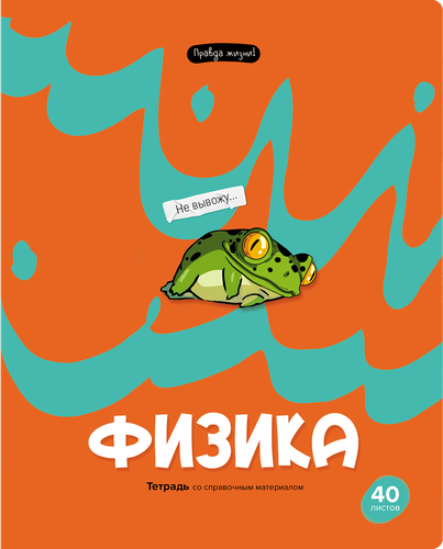 

Тетрадь BG Правда жизни Физика, 40 листов, Арт. ТП5ск40 12205