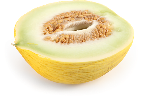 

Дыня инжирная Кампир вес