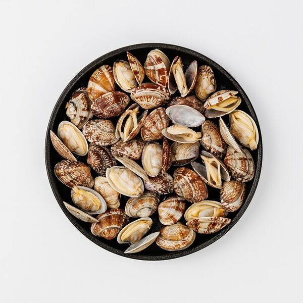 Клемы Вонголе 31/40 замороженные 500 г