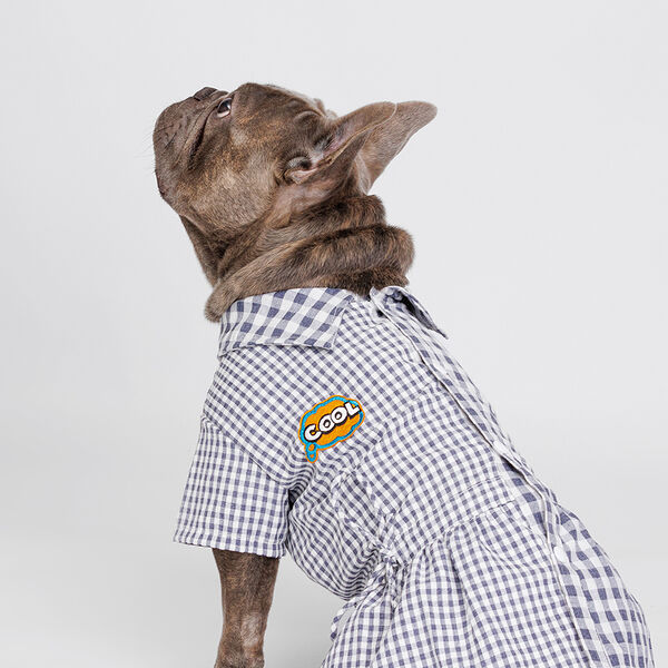 Petmax Платье-рубашка синее в клетку 2XL