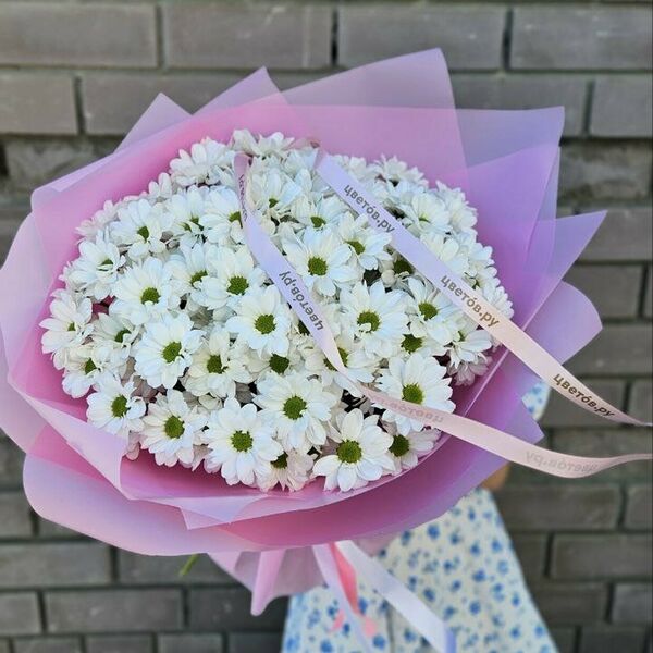 Нежные хризантемы