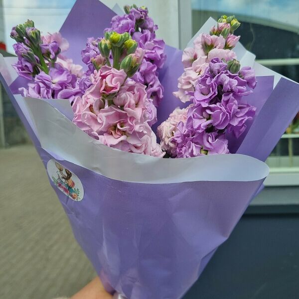 Букет ароматной маттиолы