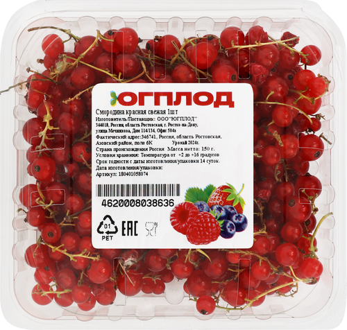 

Смородина красная свежая