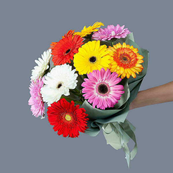 Монобукет из 11 гербер в упаковке Ирис