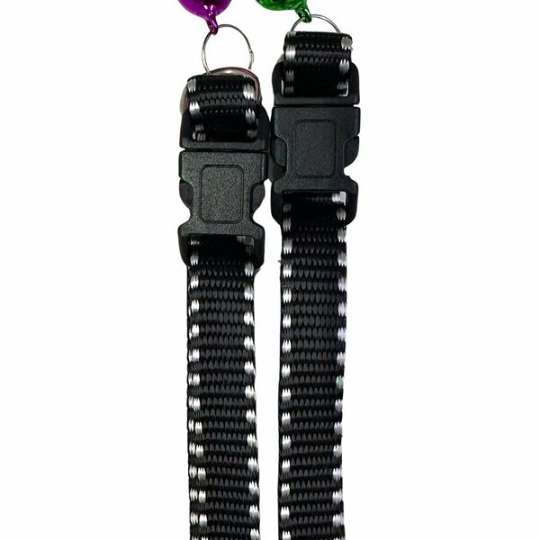 Ошейник color  черный