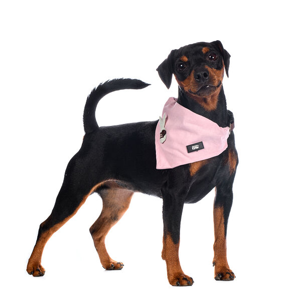 Ошейник-Бандана для собак розовая с кроликом 15мм 26-42см