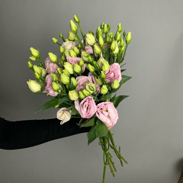 5 розовых эустом