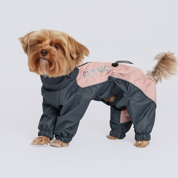 Rungo Дождевик Йорк, Чихуа мальчик S пудрово-серый