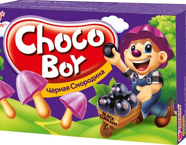 Печенье Orion Сhocoboy Black Currant 45г