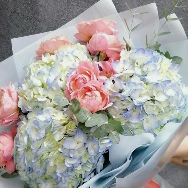 3 Гортензии с Пионовидными кустовыми розами