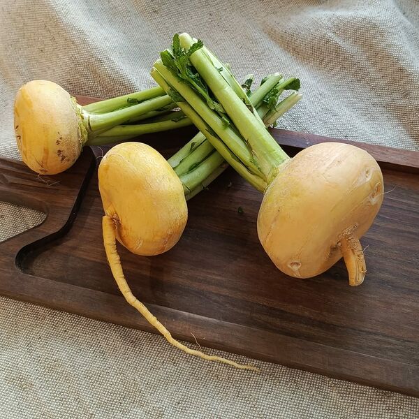 Репа новый урожай