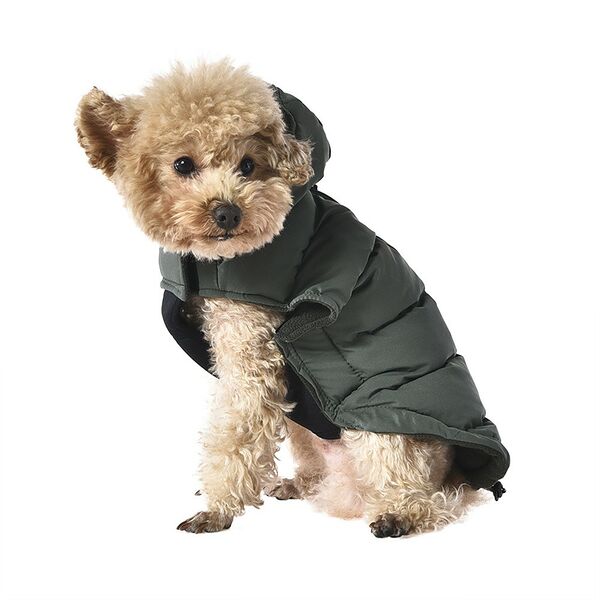 Попона для собак с козырьком FOXIE Frost and sun L (длина спины 40см, обхват груди 57-63см) зеленая