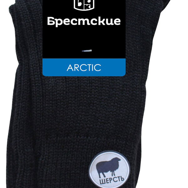 Носки мужские Брестские Arctic 14С2431 цвет: черный, размер 25 (40-41)
