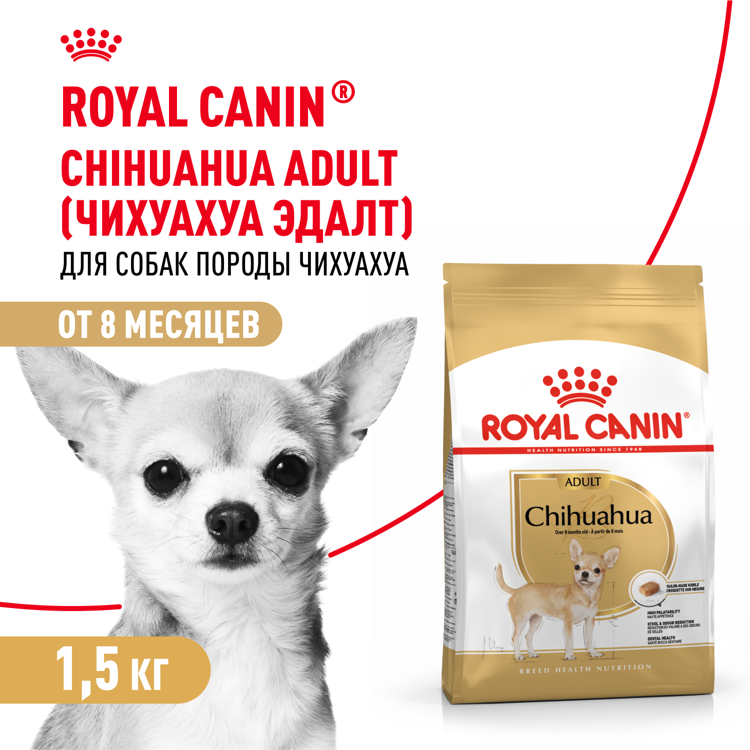 

Корм для собак Royal Canin Chihuahua Adult сухой для взрослых собак породы Чихуахуа от 8 месяцев, 1.5 кг