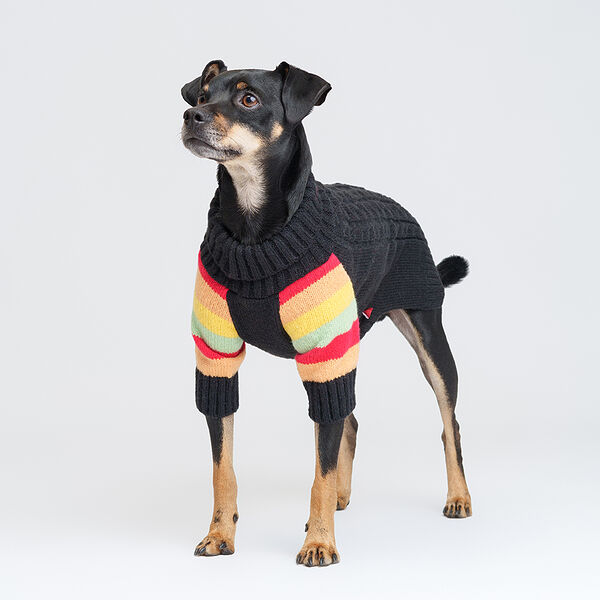 Свитер для собак черный L