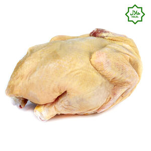 Курица фермерская желтая З/М