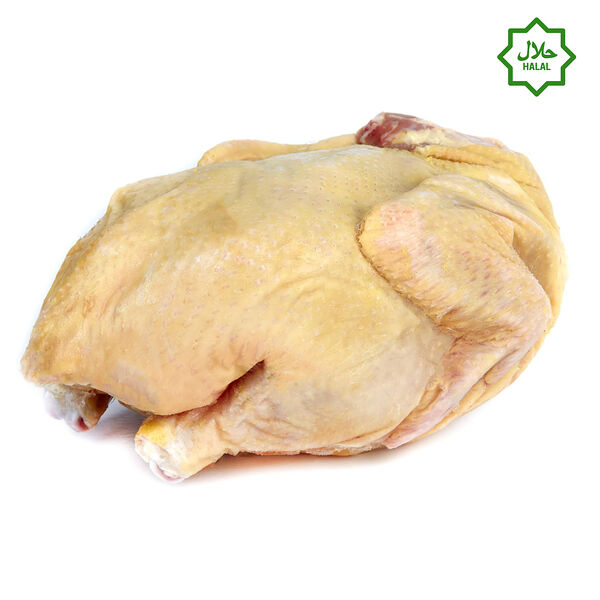 Курица фермерская желтая З/М