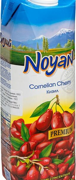 Нектар Noyan Кизиловый 1л