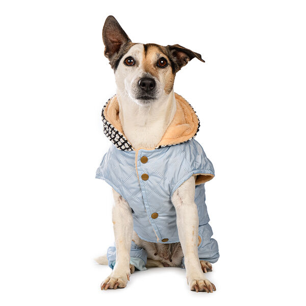 Комбинезон для собак L голубой (унисекс)