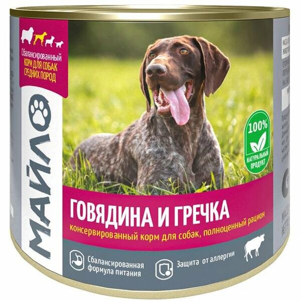 Корм влажный для собак Майло Говядина и гречка