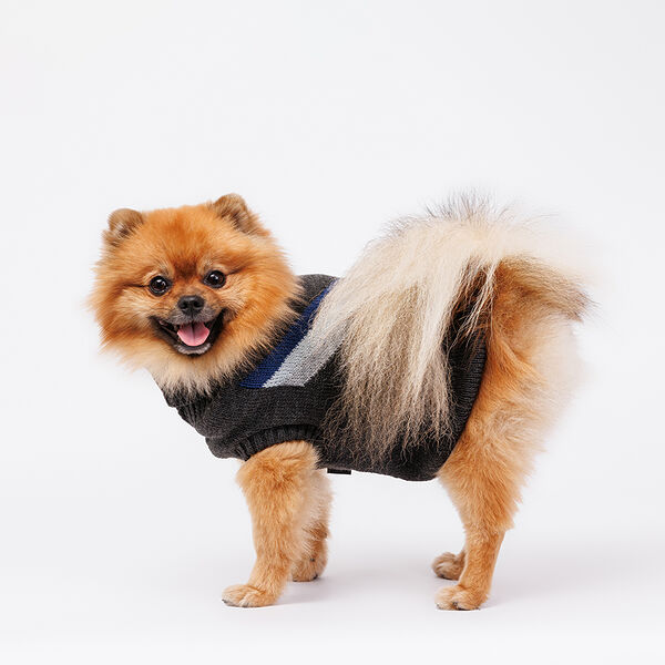 Свитер для собак, 40 см, черно-синий