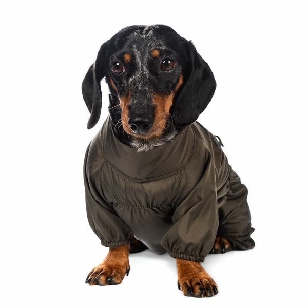 Дождевик для собак XL хаки (мальчик)