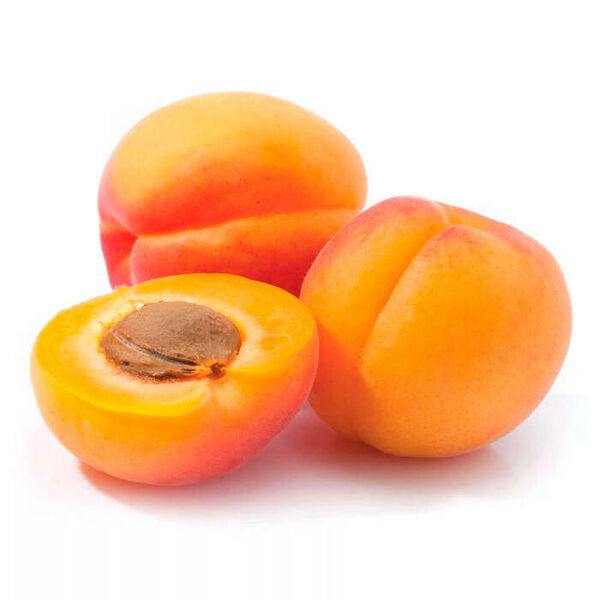 Абрикос Узбекистан