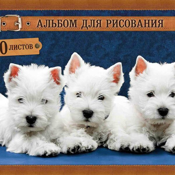 Альбом для рисования Hatber, обложка в ассортименте, 20 листов