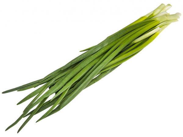 Лук зеленый Каждый день