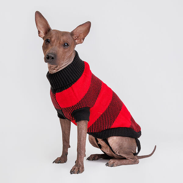 Свитер для кошек и собак, 50 см, черно-красный
