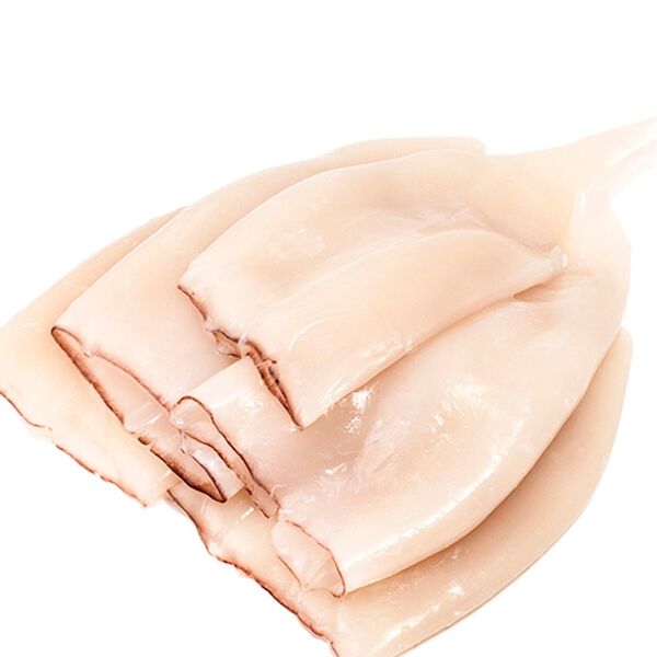 Кальмар командорский