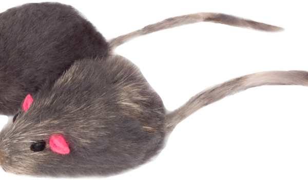 Игрушка для кошек TRIOL Мышь серая 45–50мм, 4шт