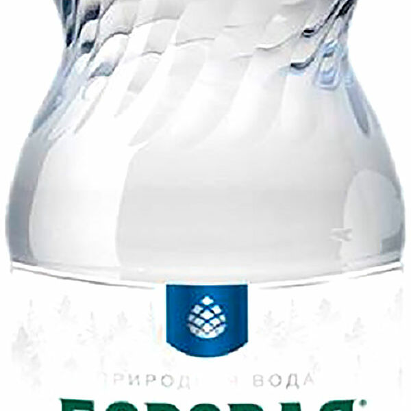 Вода Боровая питьевая минеральная лечебная 1