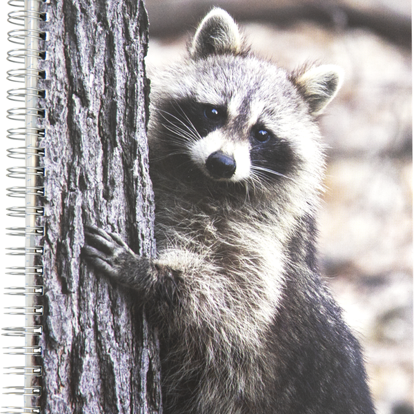 Тетрадь на спирали в клетку, 96 листов ТМ Academy style (Академи стайл)