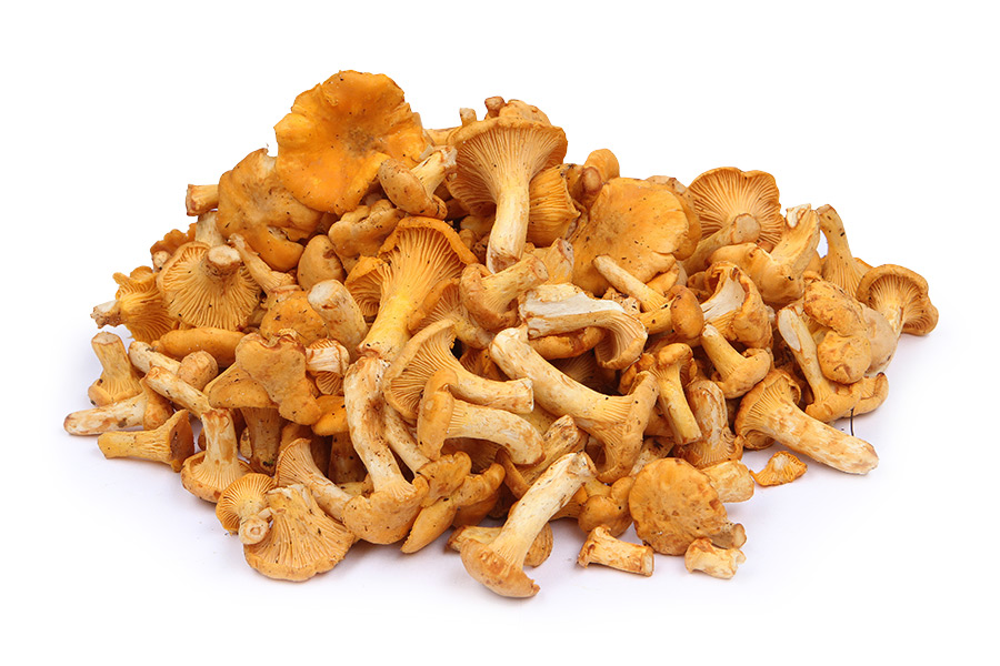 

Грибы Лисички свежие 500 г