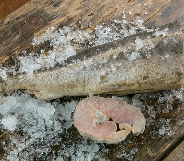 Осётр свежемороженый