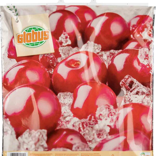 Термопакет Глобус с пластиковой ручкой 50×54 см