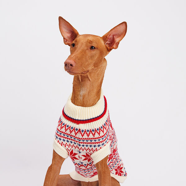 Свитер для собак, 55 см, бело-красные узоры