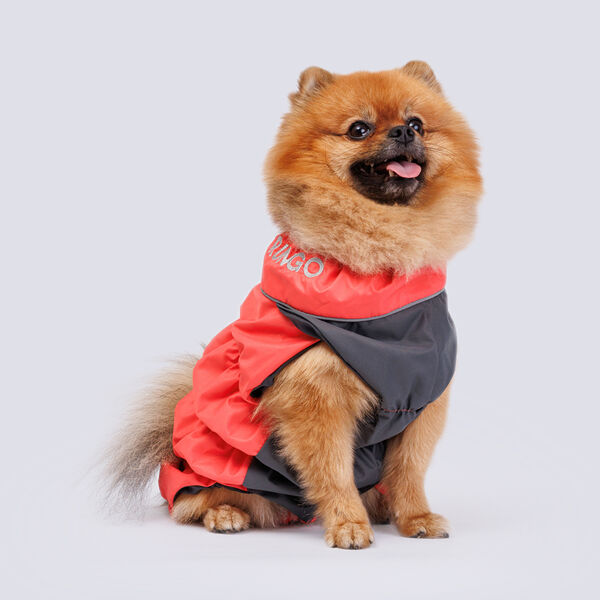 Жилетка из мембраны с подкладкой для собак, коралловый, длина спины 28 см, обхват груди 50 см (девочка)