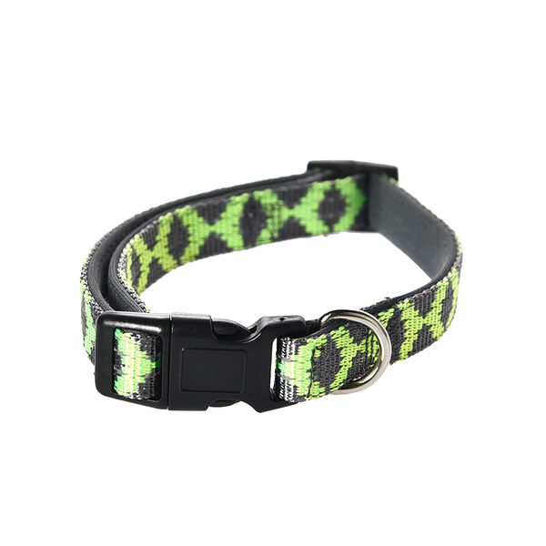 Ошейник для собак FOXIE Reflect S 1,5x30-45см c зелеными полосками